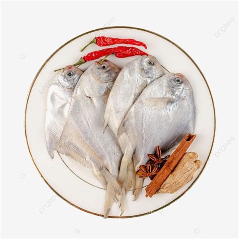 白鯧魚料理怎麼做？探索多元美味，從日常到年節！